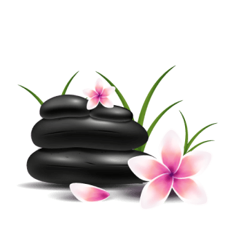 shape Image