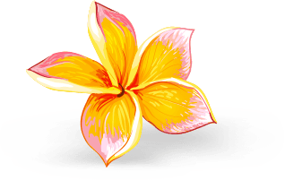 shape Image