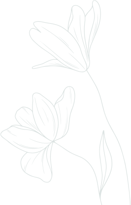 shape-tree